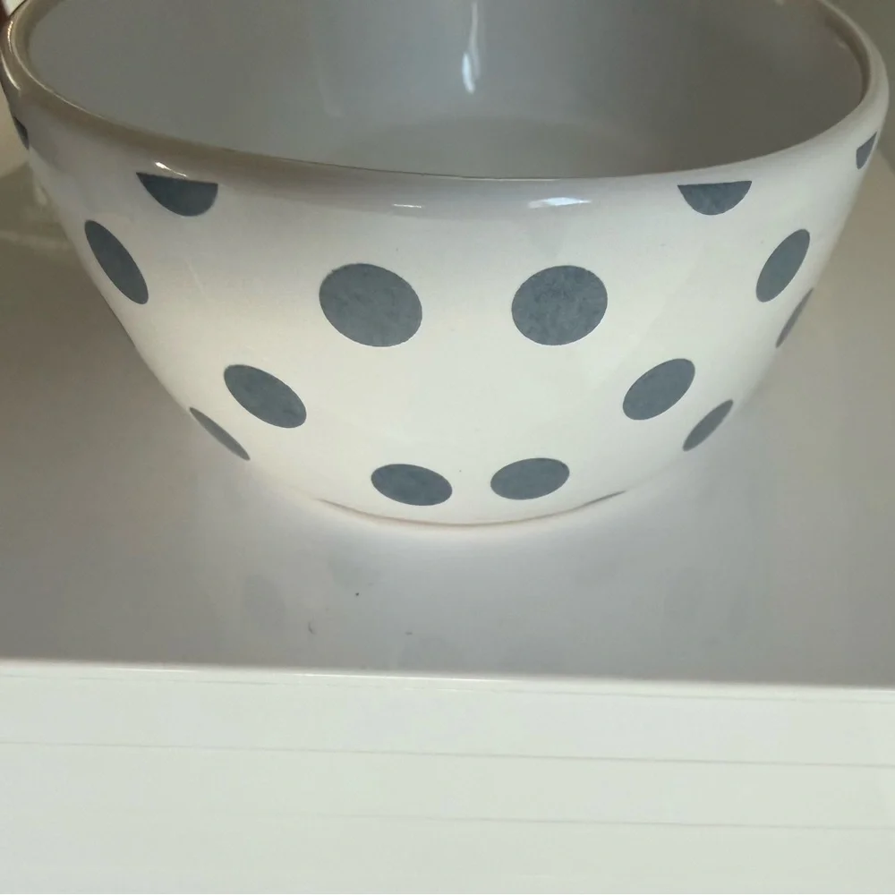 Polka Dot Cat Bowl